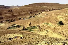 The Sahara in spring