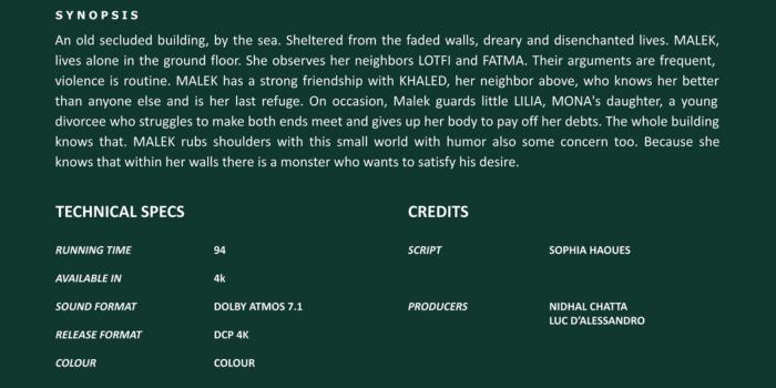 Silentium -Short Synopsis